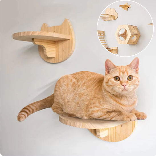 Arbre-a-chat-en-bois-design