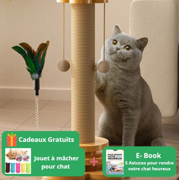 Arbre a chat en bois | ChatNature™