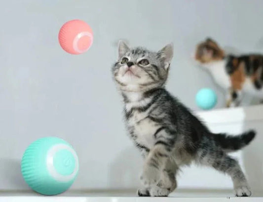 AutoBall™ - Jouet électrique interactifs pour chats - Happiness Cats