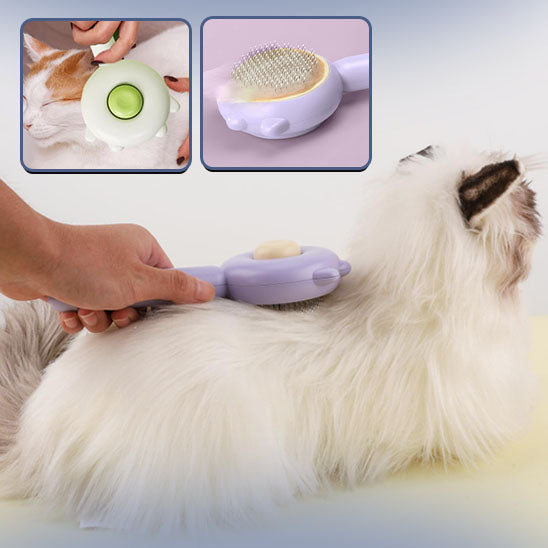 Brosse pour chat poil long - KittyShineGroom™