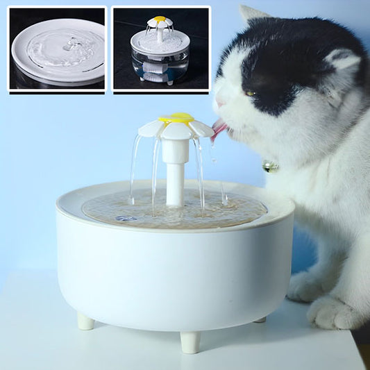 fontaine-a-chat-hydratation