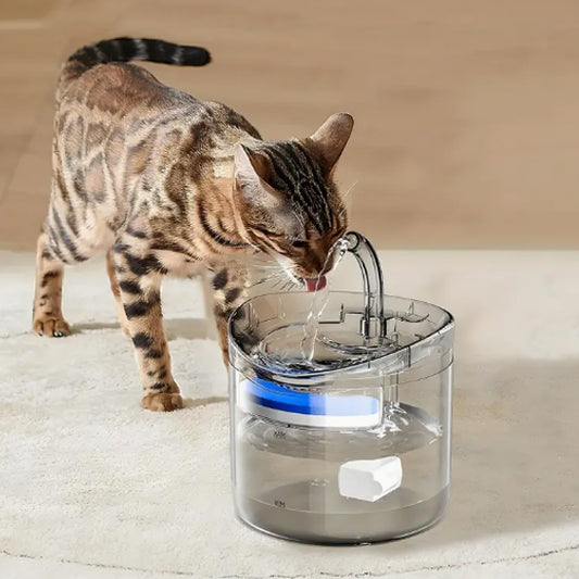 Chat distributeur eau- BellEau™