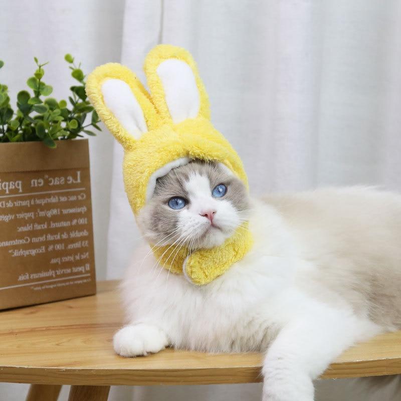 RabbitHat™ - Accessoire de déguisement pour chat - Happiness Cats